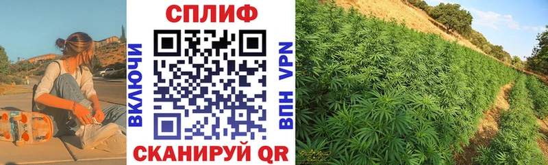 Каннабис MAZAR  Обь 